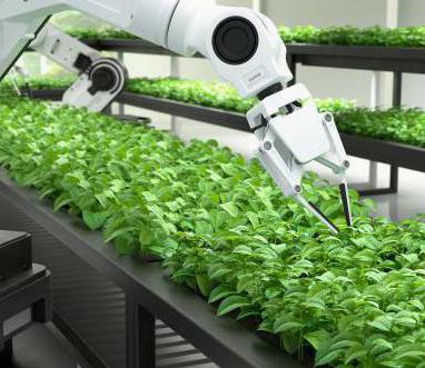 innowacyjne technologie rolnicze